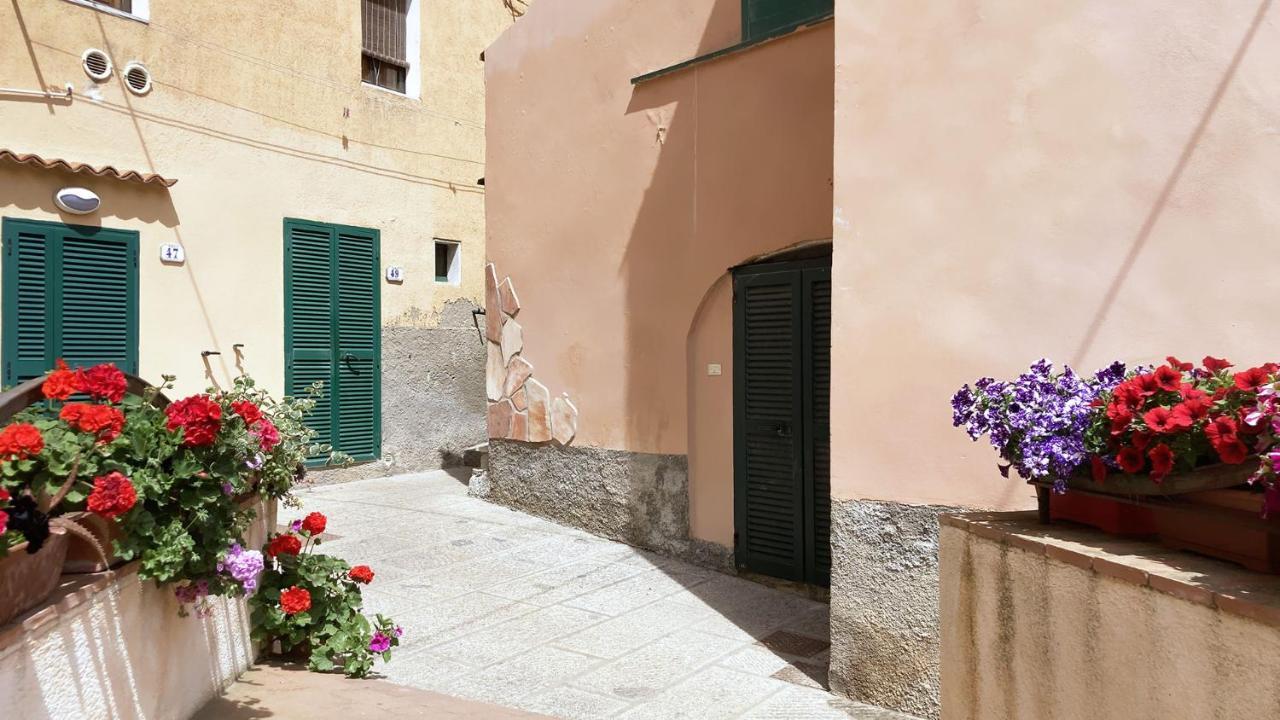 La Casa Di Rosa - Argonautivacanze Rio Marina Zewnętrze zdjęcie